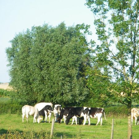 La Vallee Des Trois Monts Saint-Sylvestre-Cappel Bagian luar foto